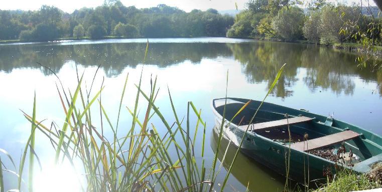 Gite De L'Etang - Parc Des Volcans D'Auvergne Loubeyrat Exterior photo